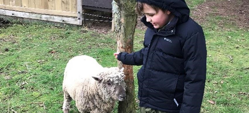 Animal Therapy and Science Week at Scarborough image