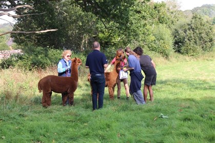 Hill House Harvest Day Students Staff And Animals