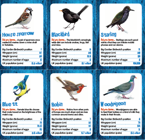 Big Card Bird Watching Games