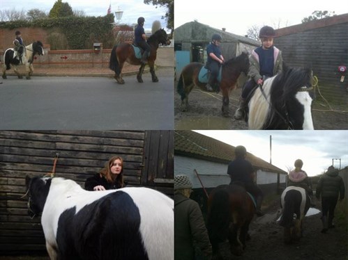 Horse Riding Collage