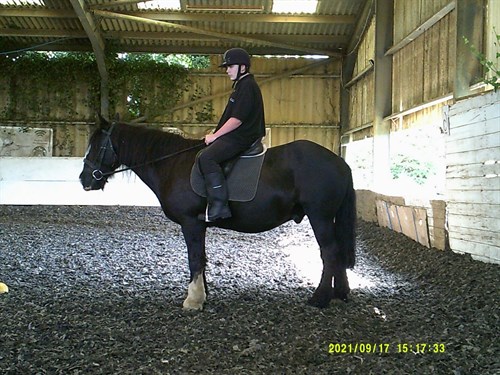 Horse Riding Male Student On Horse