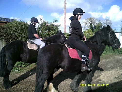 Horse Riding Students Riding Horse On Path