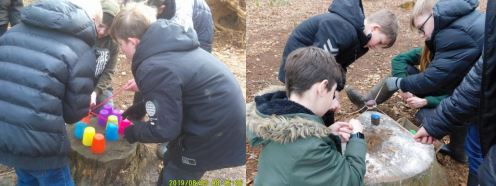 Students At Forest School Doing Teamwork Activities