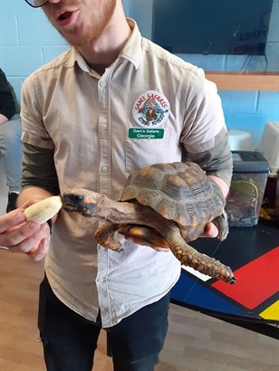 Beverley School Visitor From Sams Safaris With Tortious