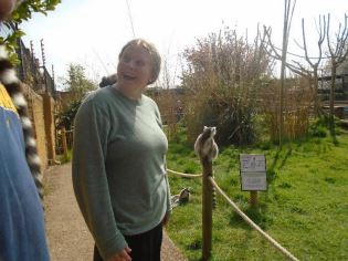 Student At Zoo