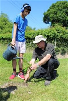 Queens Green Canopy Student Water Newly Planted Tree