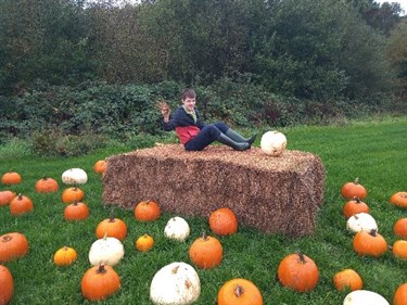 Pumpkin Festival Student On Hay Patch