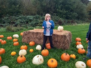 Pumpkin Festival Student Choosing Pumpkin