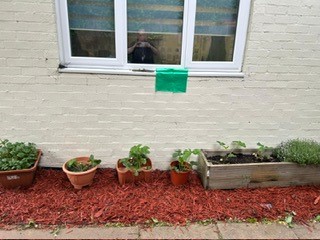 Gardening Image1