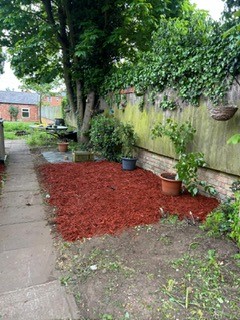 Gardening Image2