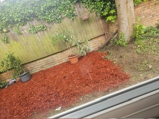 Gardening Image3