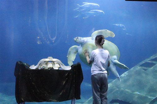World Ocean Day1