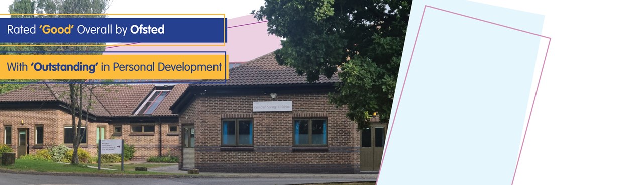 Spring Hill Banner Ofsted