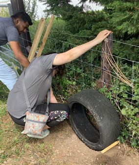 Building Bug Hotel New