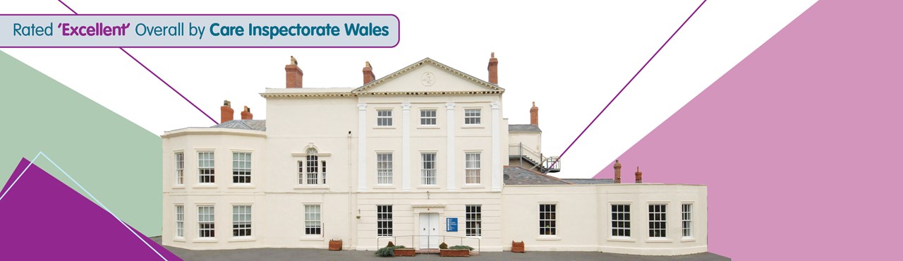 Pengwern College Excellent Banner (1)