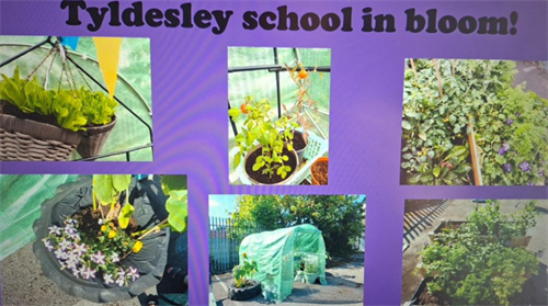 Screenshot 2026 02 24 124939