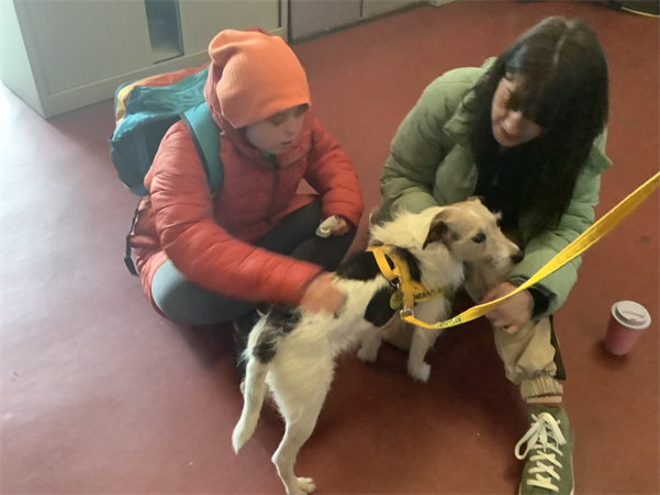 Screenshot 2026 03 30 153653