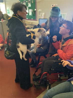 Screenshot 2026 03 30 153701