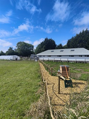 Beehive And Grounds