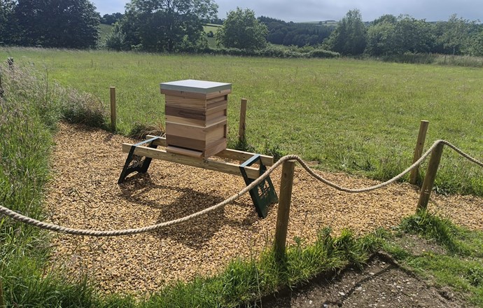 Project Compass Bee Hive Building