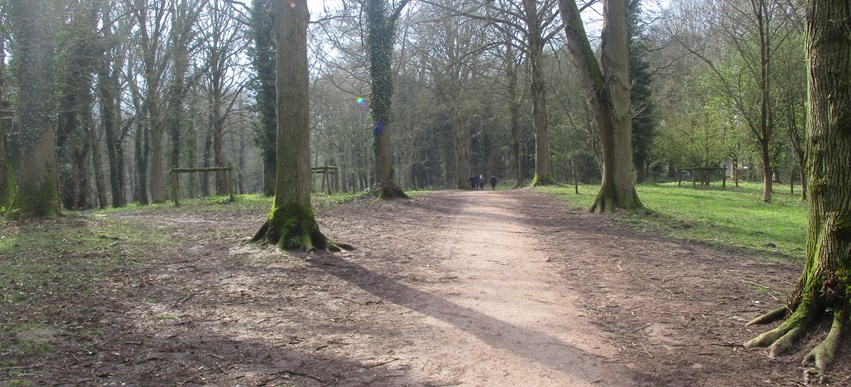 Gruffalo Hunting with Cambian Hereford School image