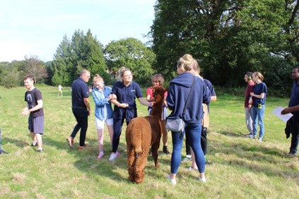 Hill House Harvest Day Group Of Students Staff Petting Animalspng