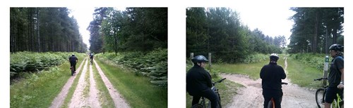 Thetford Forest Bike Ride