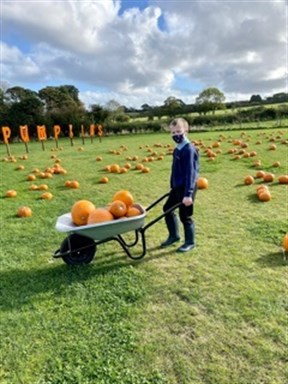 Student With His Chosen Pumpkins