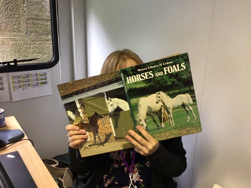 Horses Book