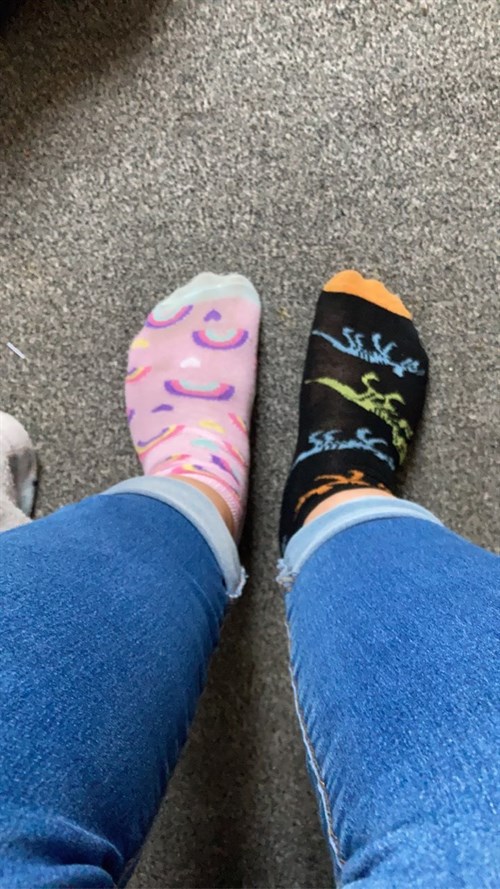 Odd Socks Dinosaurs