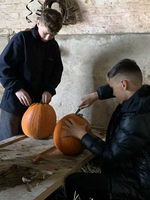 Male Students Carving Pumpkins
