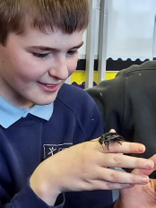 Male Student Holding Bug On Finger