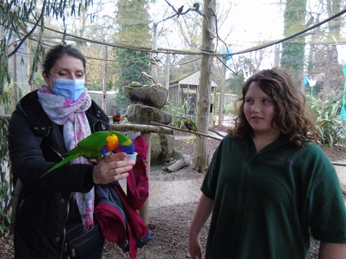 Staff Member Holding Parrot