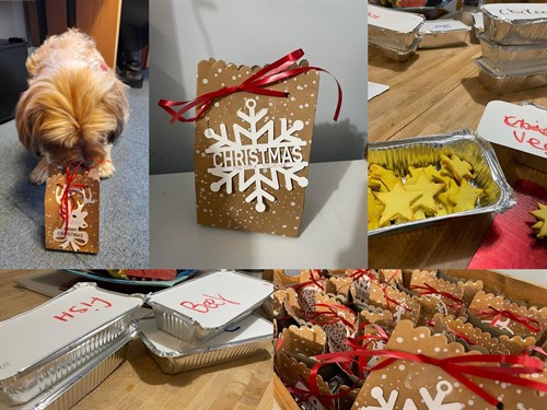 Advent Calendars For Dogs Collage