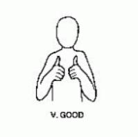 Very Good Makaton