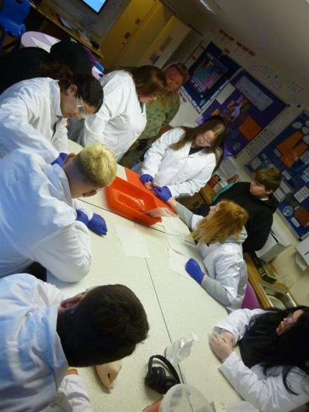 Science Lessons Students Studying The Heart