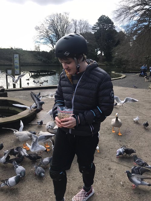 Student Feeding The Pigeons 2 