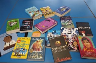World Book Day Book Selection