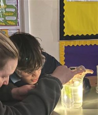 Science Student And Staff Looking At Experiment