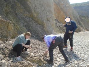 Searching For Fossils