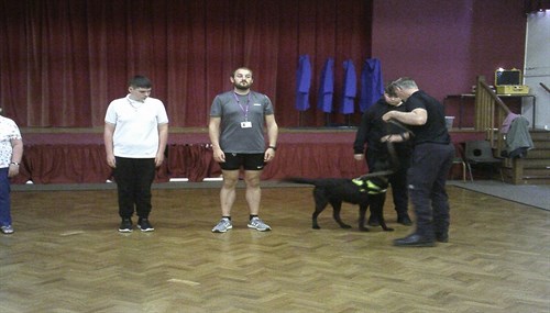 Dog Handling Student Testing Sniffer Dog In Group