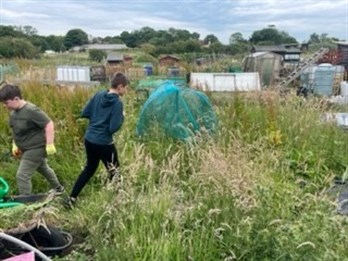 Scarborough Students Working On Allotment
