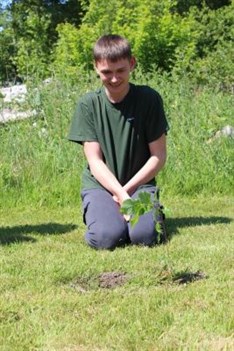 Queens Green Canopy Student Admiring The Tree They Planted