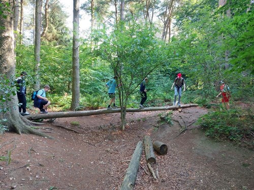Scarborough Dalby Forest Students Walking