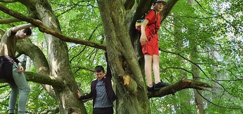 Scarborough Dalby Forest Students Climbing Tree