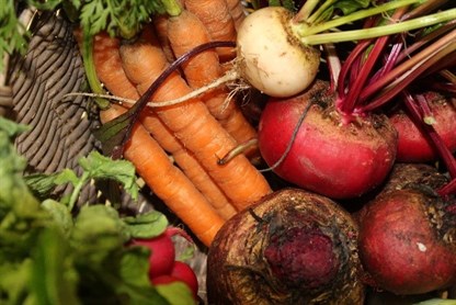 Harvest Celebrations 2022 Vegetables From Allotment