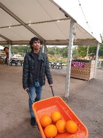 Pumpkin Festival Student With Chosen Pumpkins