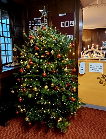 Potterspury Lodge Christmas Tree