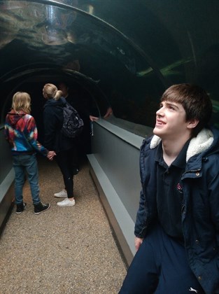 Oceanarium 2