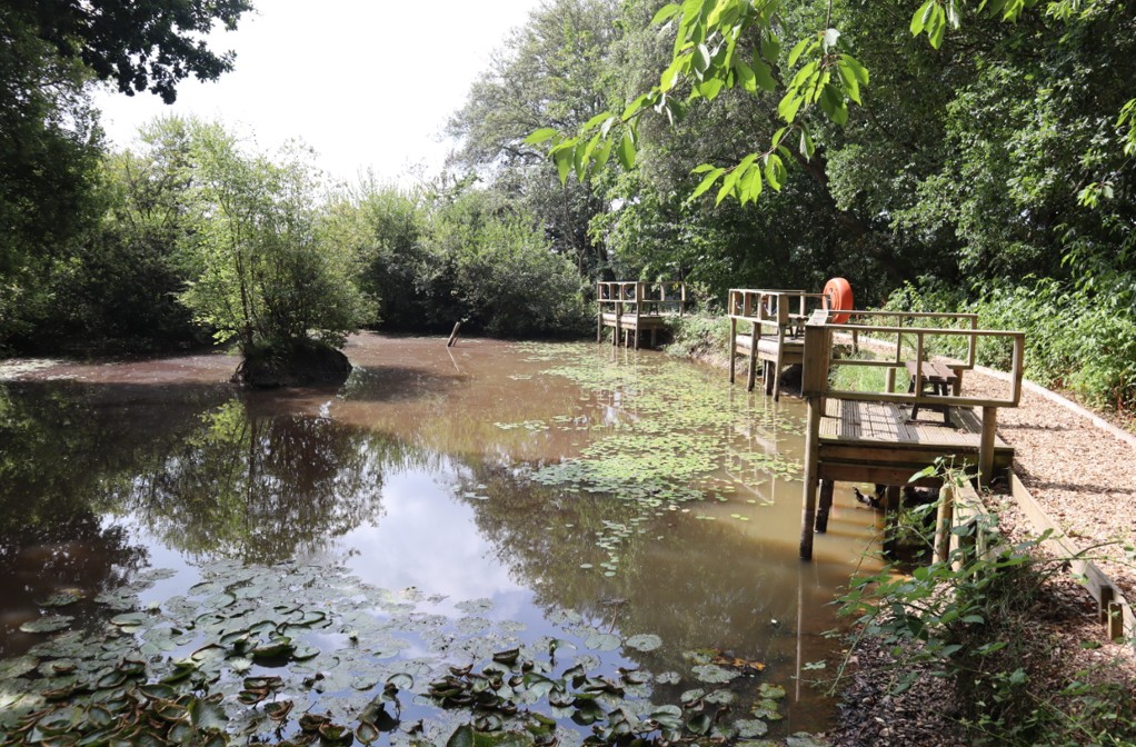 Fishing Pond
